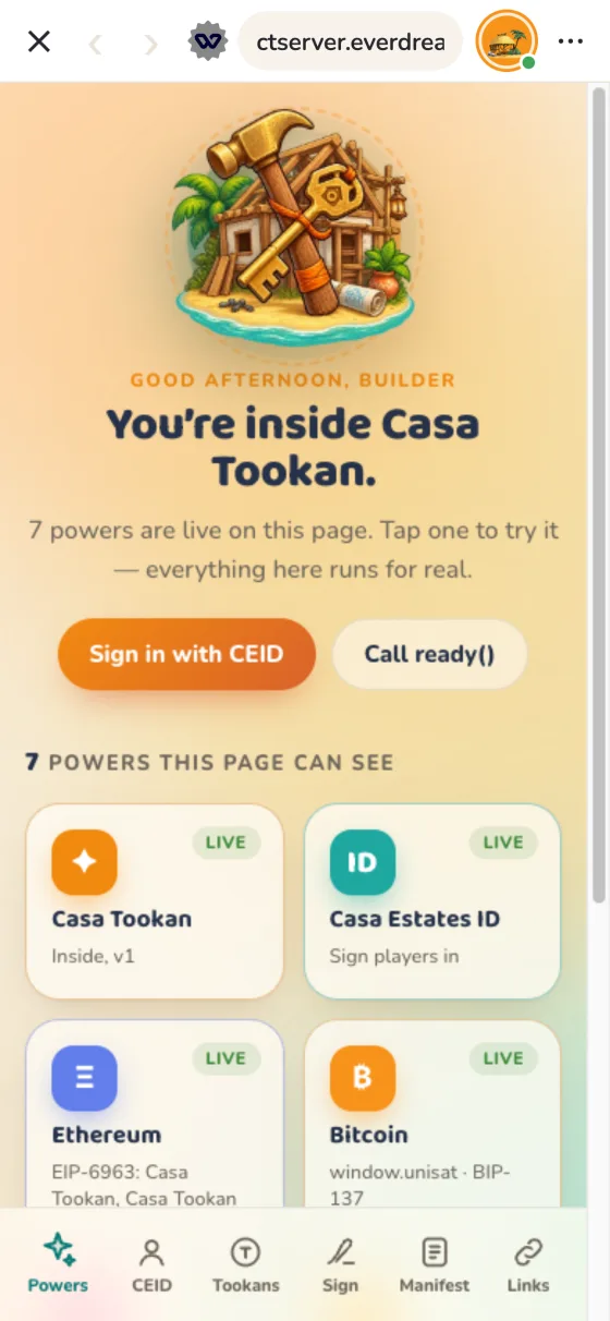 The Dev Playground running in Casa Tookan's browser, connected